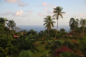 Coucher de soleil a l oasis