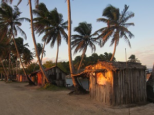 Coucher de soleil sous les tropiques