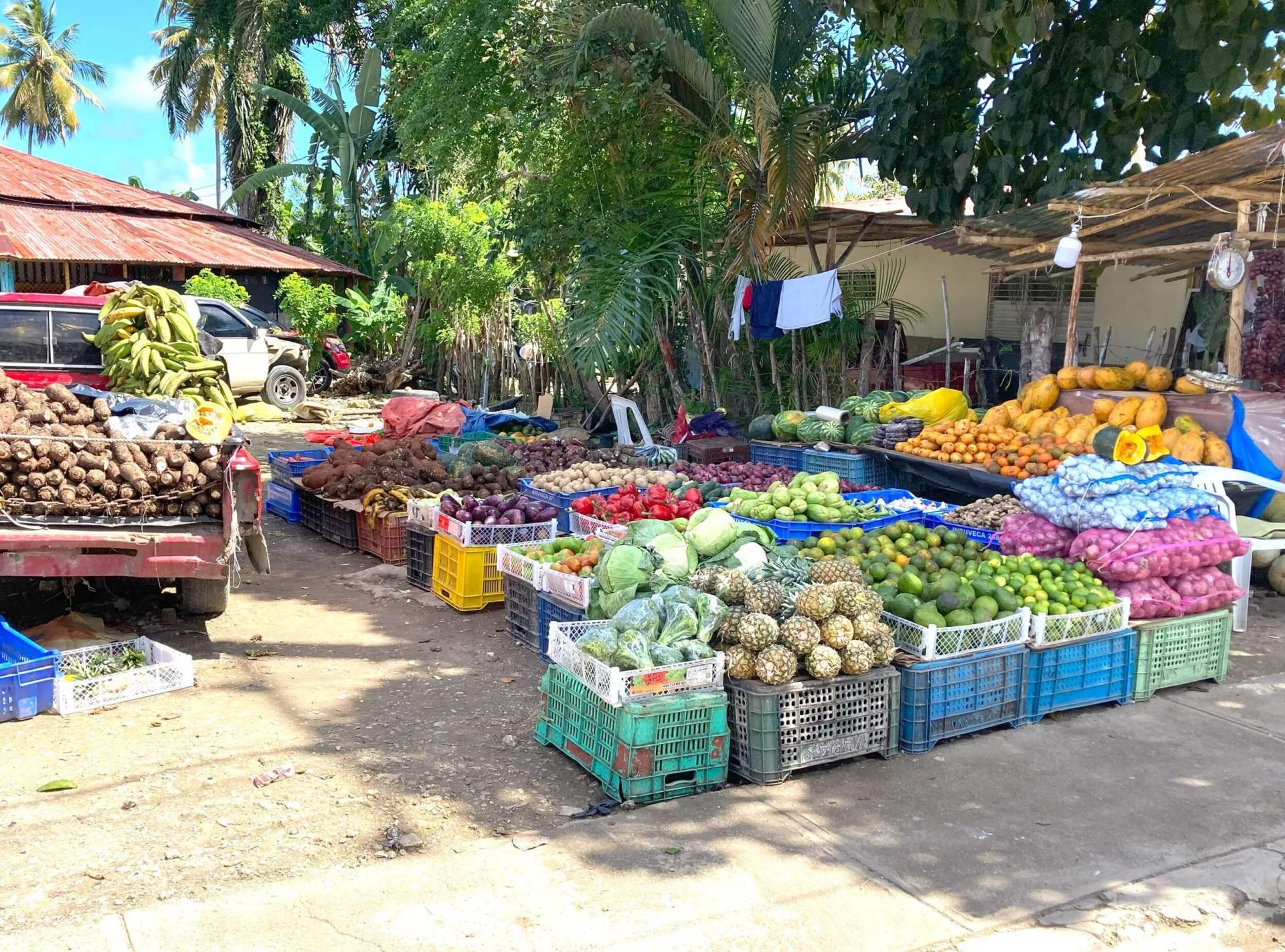 Fresh fruit and local food of dominican republic 1