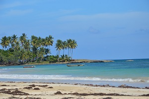 Nature paradisiaque republique dominicaine 1