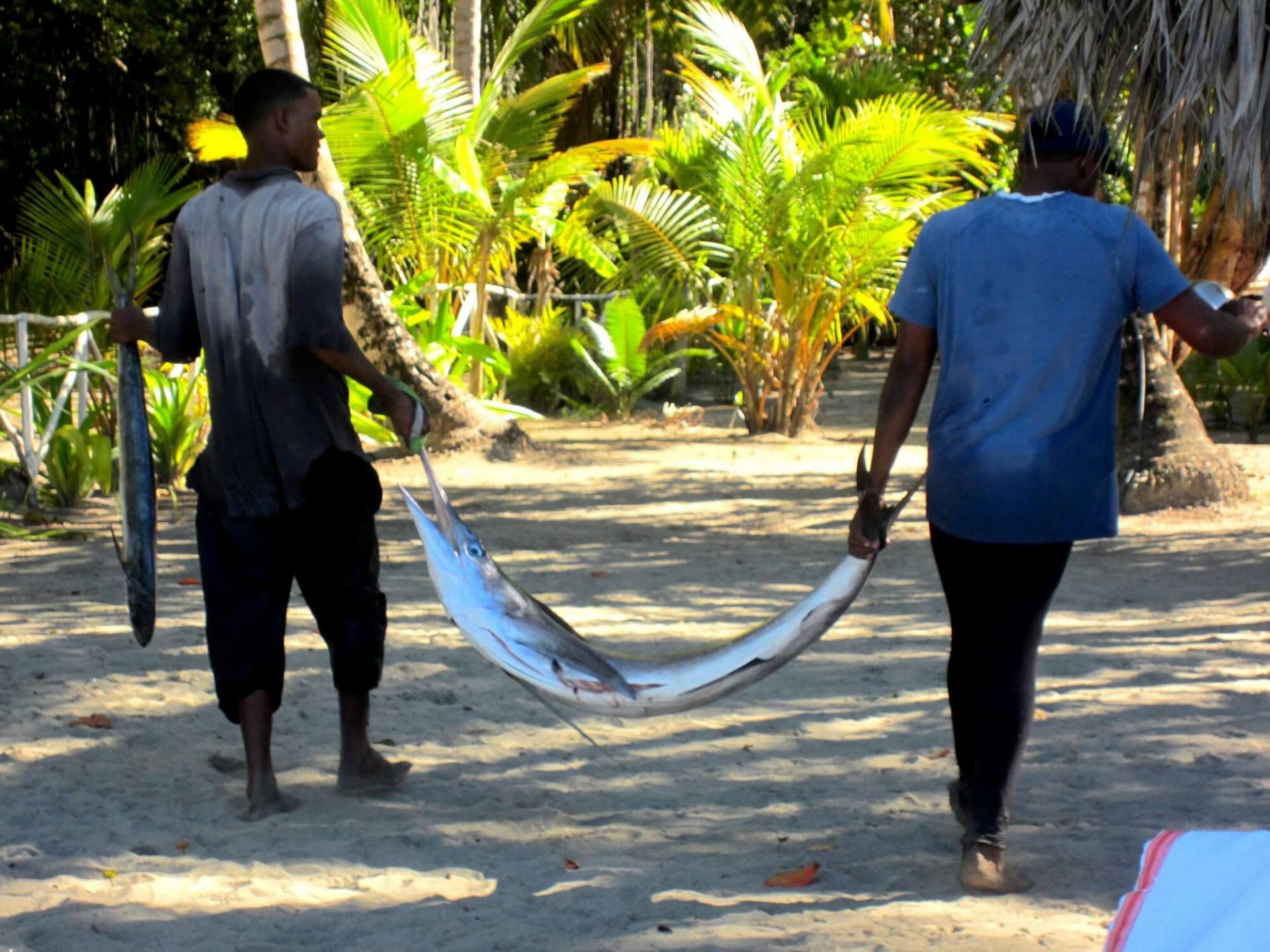 Pecher en republique dominicaine 1