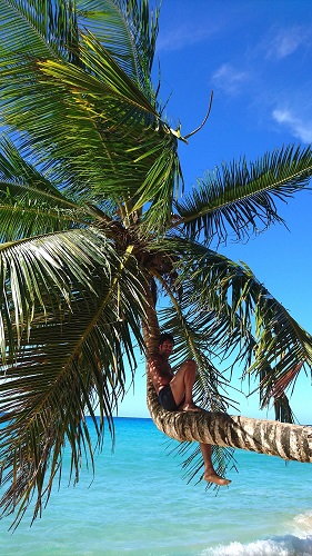 Retraite sous les cocotiers petite