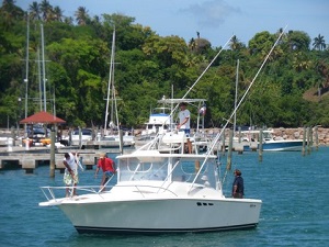 Sortie peche au gros