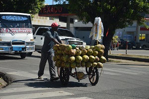 Vendeur de cocos